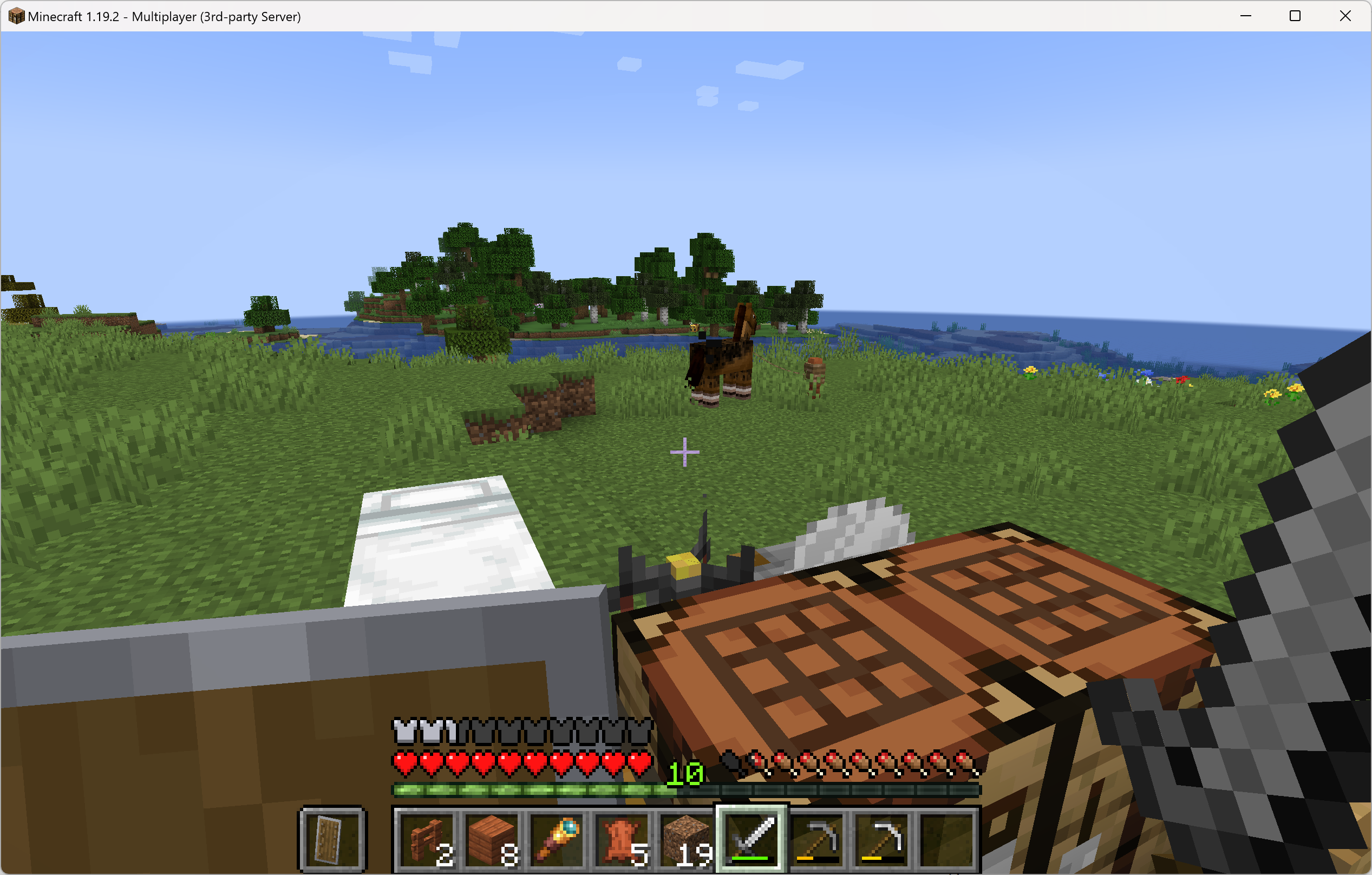 Setting up a Minecraft Java Edition Server